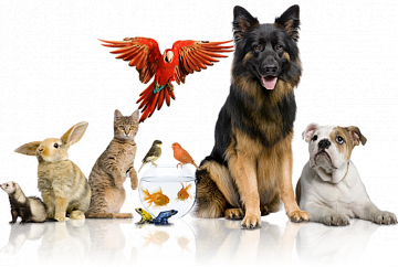 Для животных
