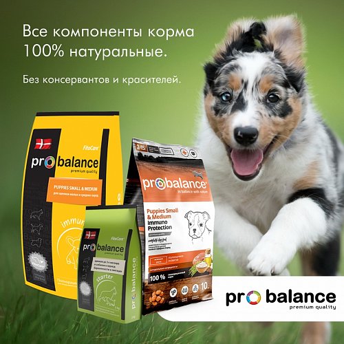 Премиальные сухие и консервированные корма ProBalance™